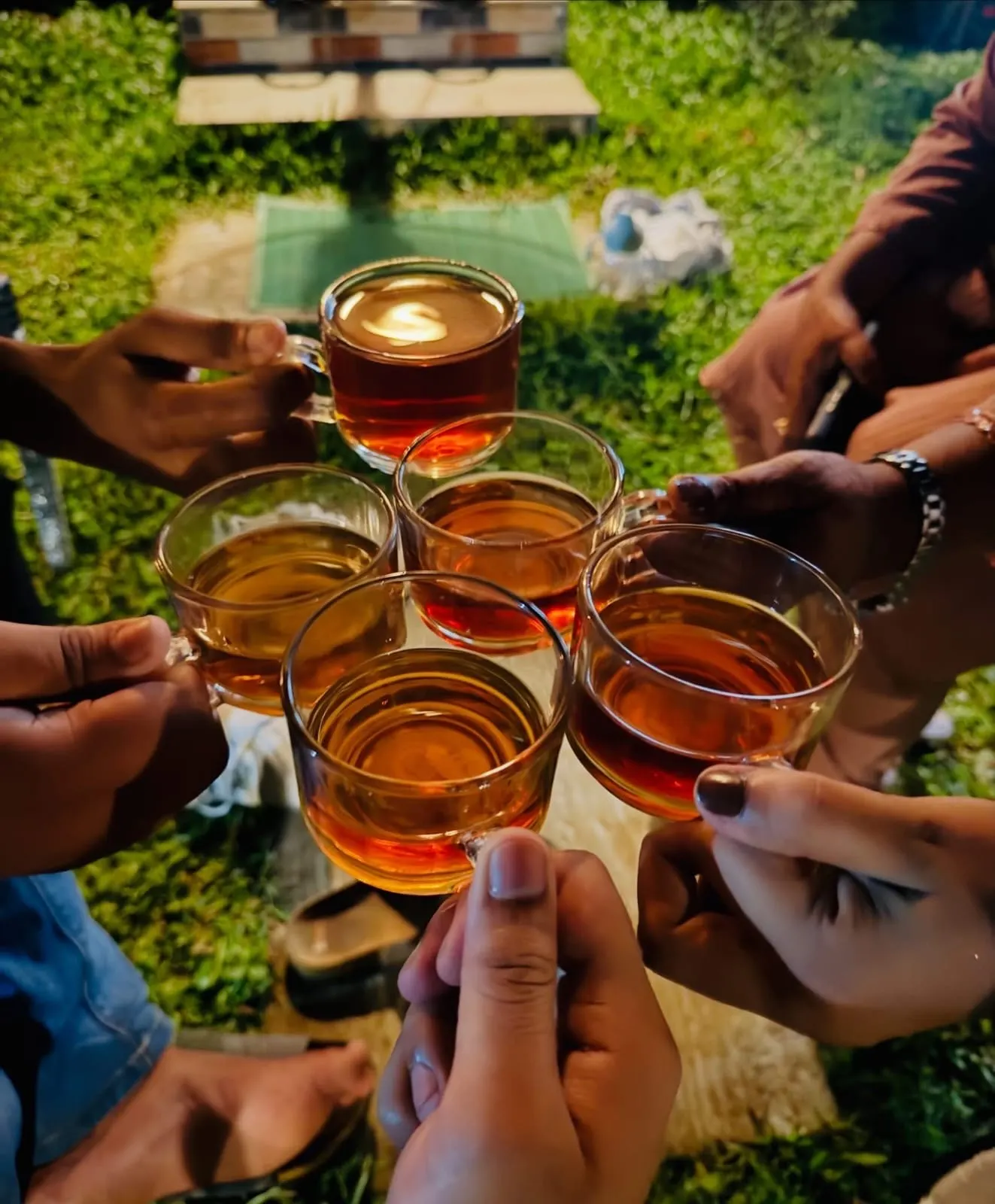 Friends raising glasses of tea in the garden